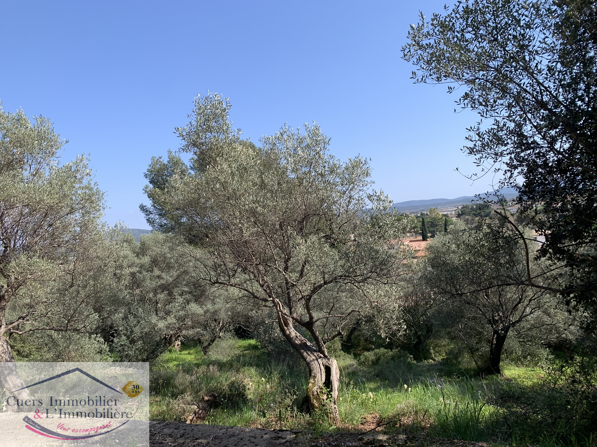 Agence immobilière de CUERS IMMOBILIER