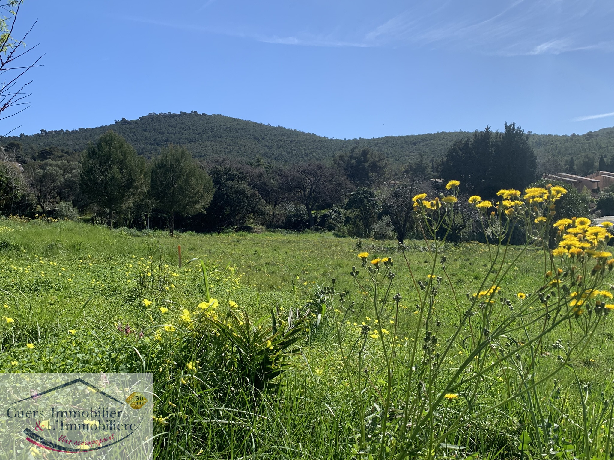 Agence immobilière de CUERS IMMOBILIER