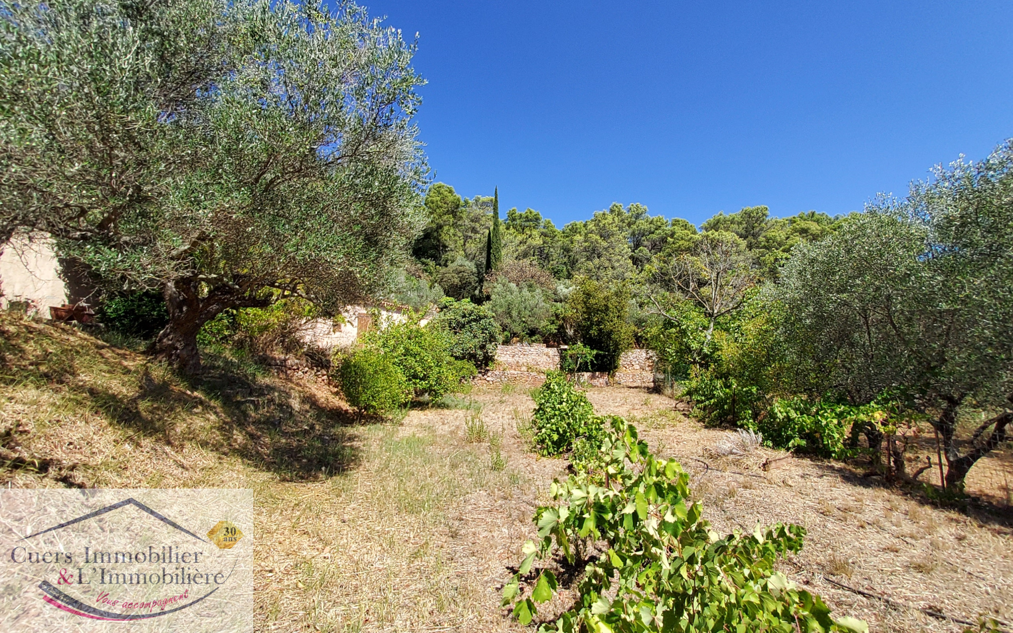 Agence immobilière de CUERS IMMOBILIER