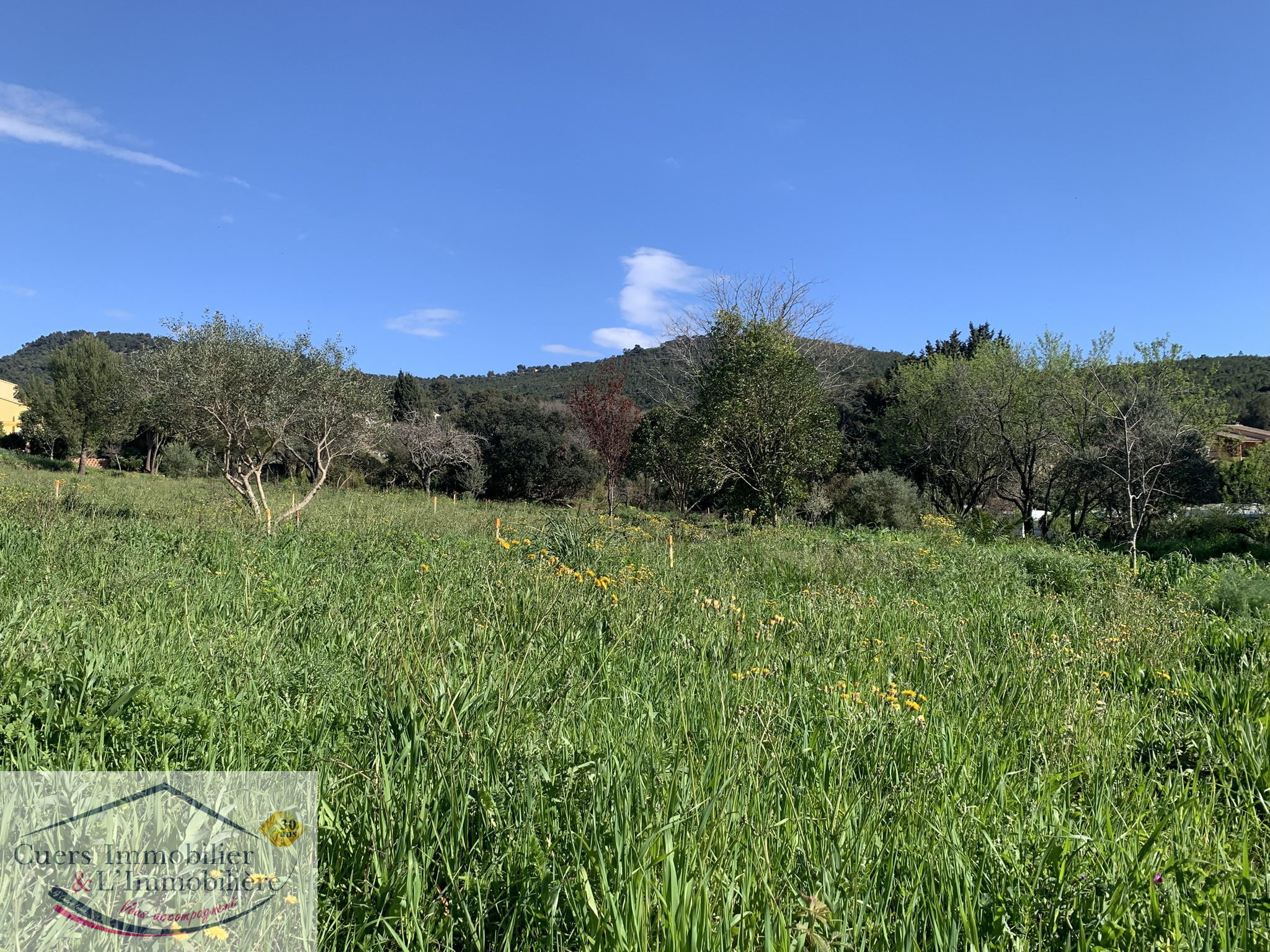 Agence immobilière de CUERS IMMOBILIER