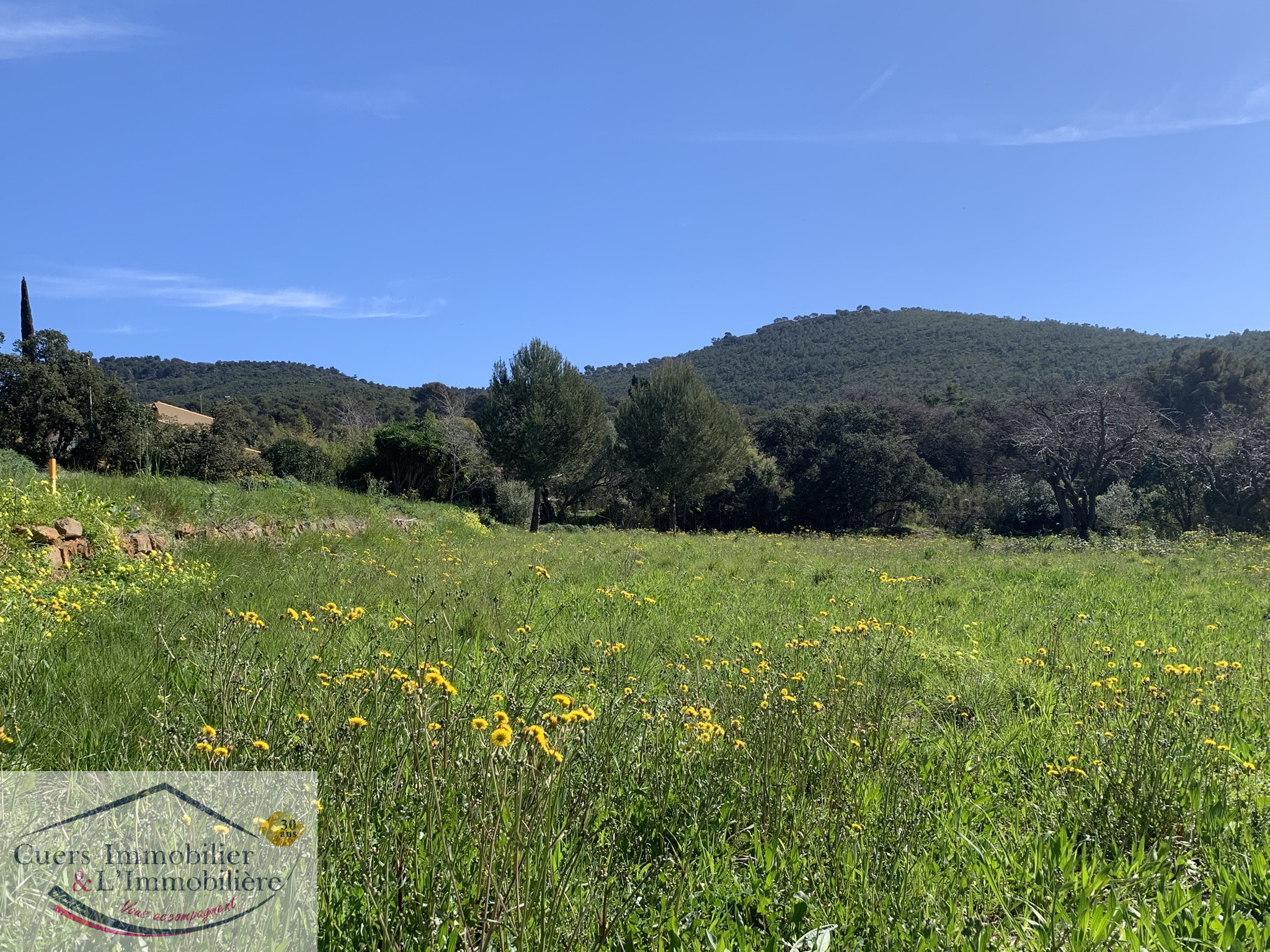 Agence immobilière de CUERS IMMOBILIER