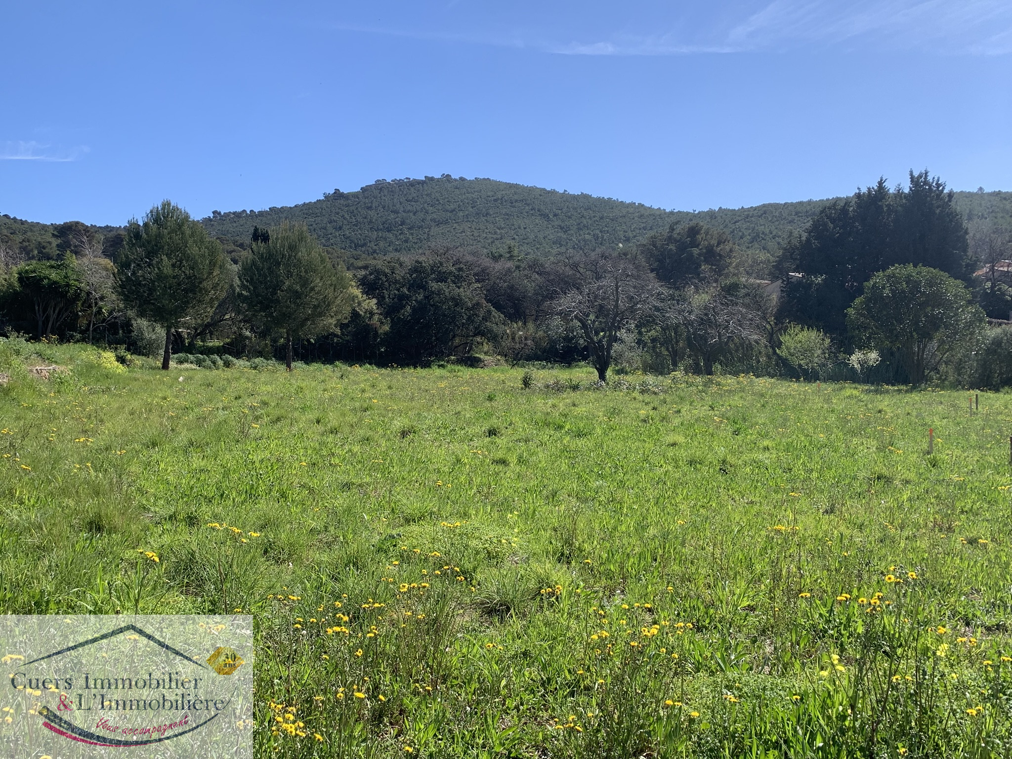 Agence immobilière de CUERS IMMOBILIER